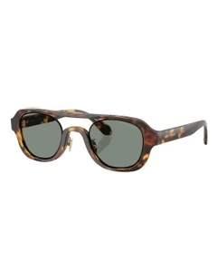 Acetate Sunglasses in Tortoise