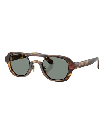 Acetate Sunglasses in Tortoise