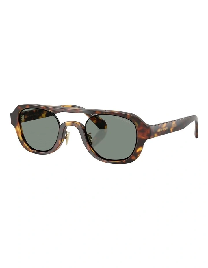 Acetate Sunglasses in Tortoise image 1