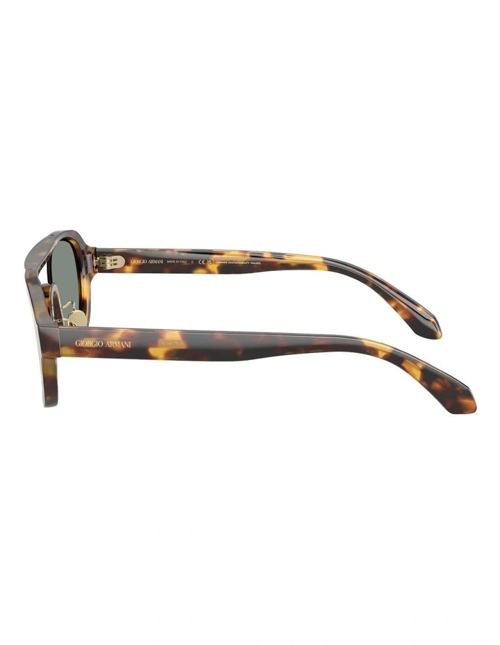 Acetate Sunglasses in Tortoise image 3