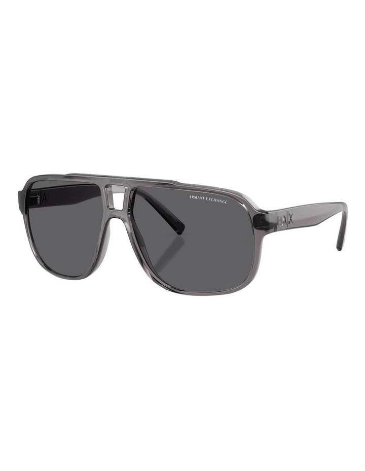 Injected Polarised Sunglasses in Grey image 1
