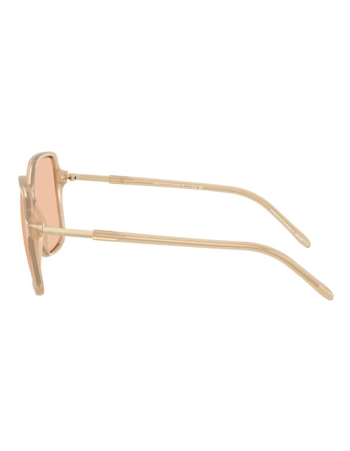 Injected Sunglasses in Brown image 3