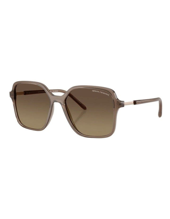 Injected Polarised Sunglasses in Brown image 1