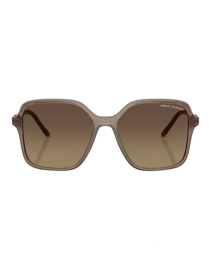 Injected Polarised Sunglasses in Brown image 2