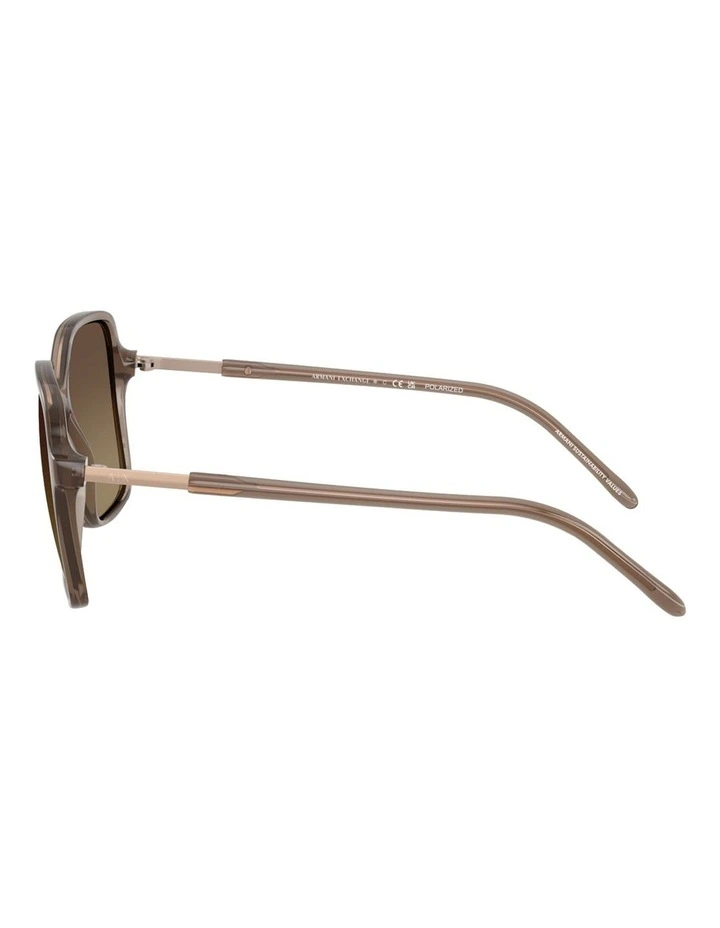 Injected Polarised Sunglasses in Brown image 3