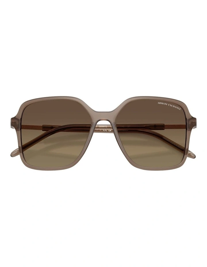 Injected Polarised Sunglasses in Brown image 4