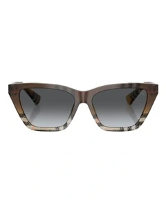 Acetate Polarised Sunglasses in Brown