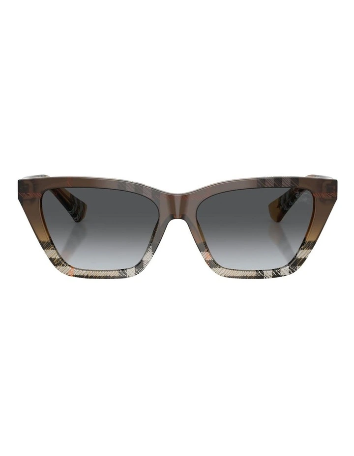 Acetate Polarised Sunglasses in Brown image 1