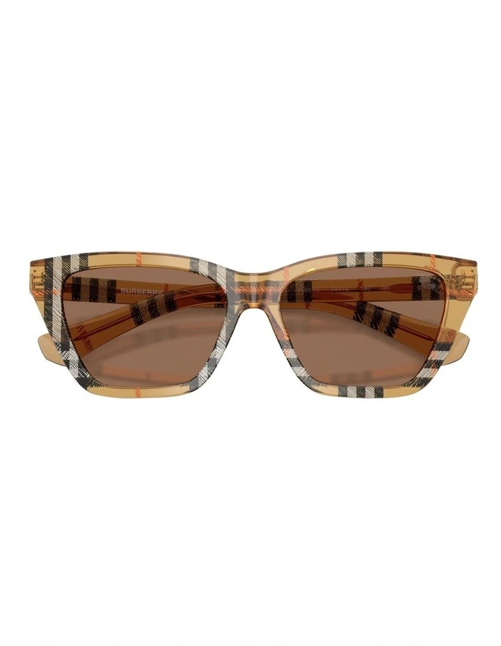 Acetate Sunglasses in Brown image 4