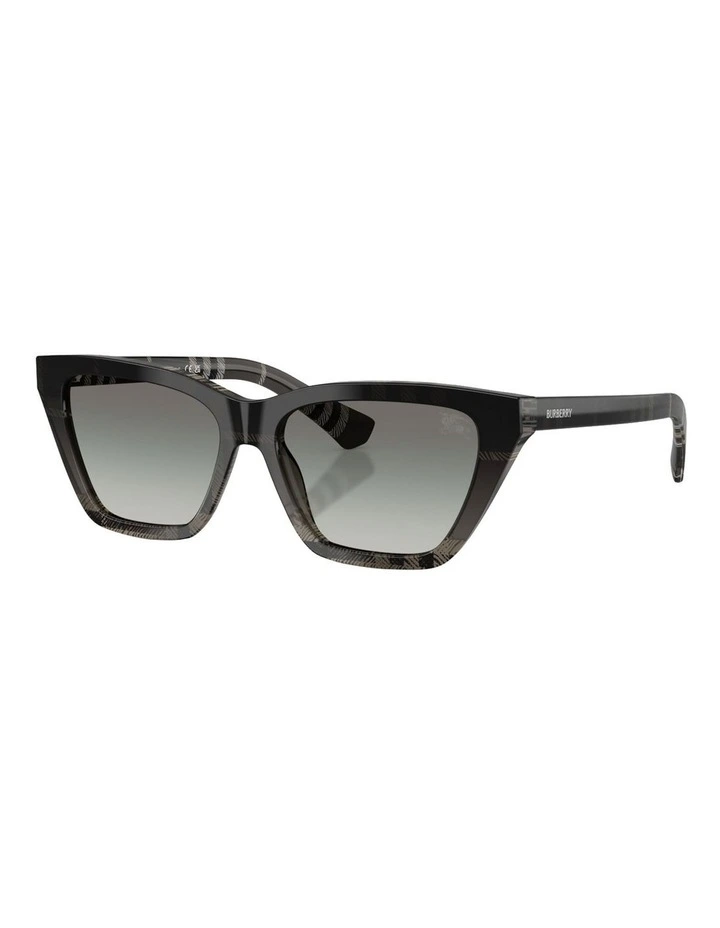 Acetate Sunglasses in Grey image 1