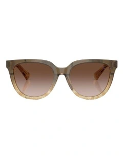 Acetate Sunglasses in Brown