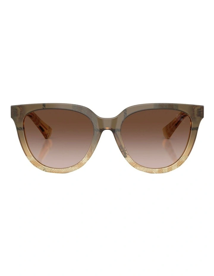 Acetate Sunglasses in Brown image 1