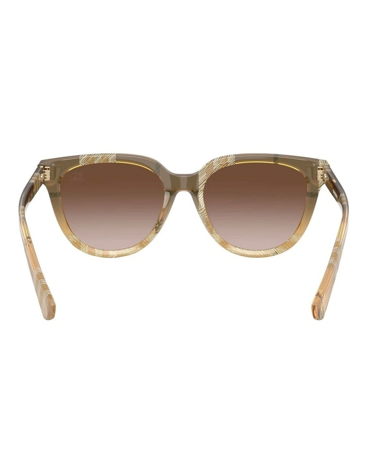 Acetate Sunglasses in Brown image 2