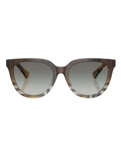 Acetate Sunglasses in Brown