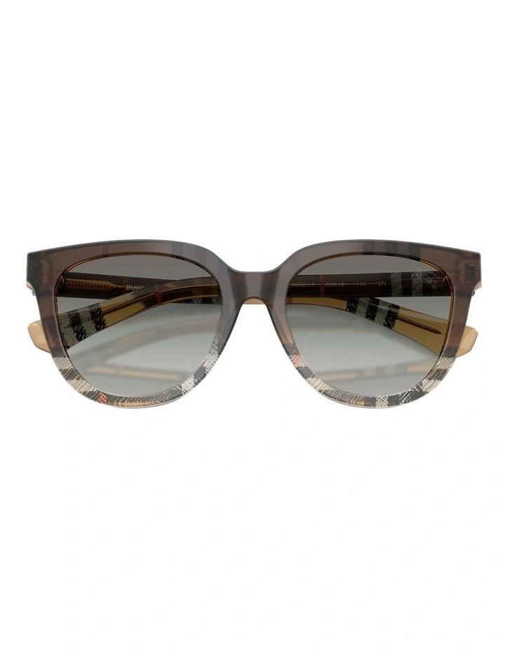 Acetate Sunglasses in Brown image 3