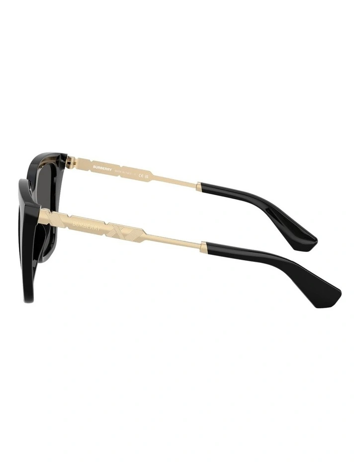 Injected Sunglasses in Black image 2