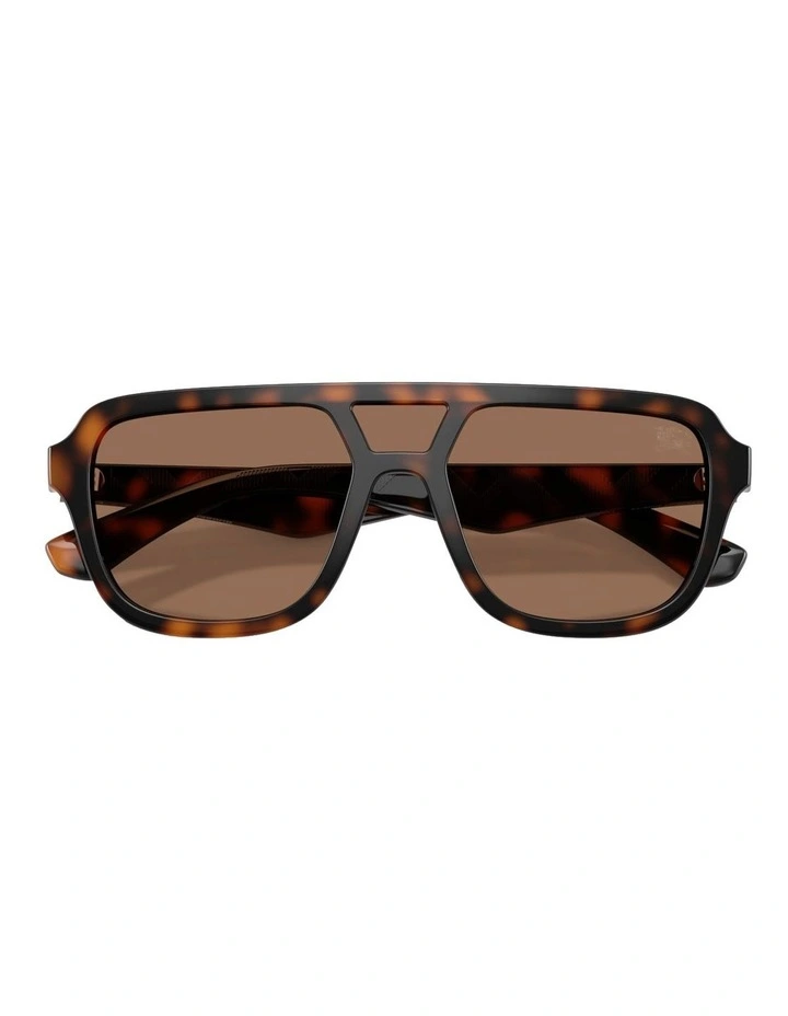 Injected Sunglasses in Brown image 5