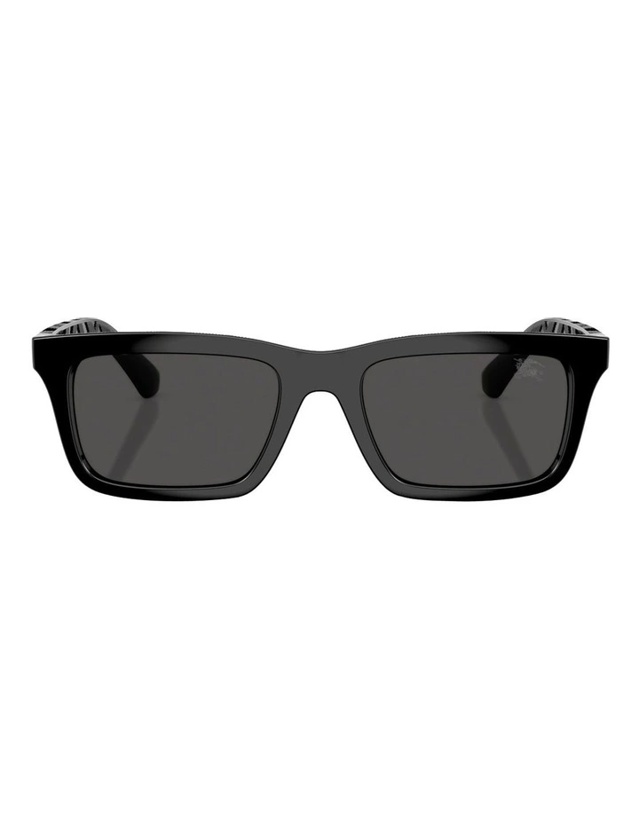 Injected Sunglasses in Black image 2