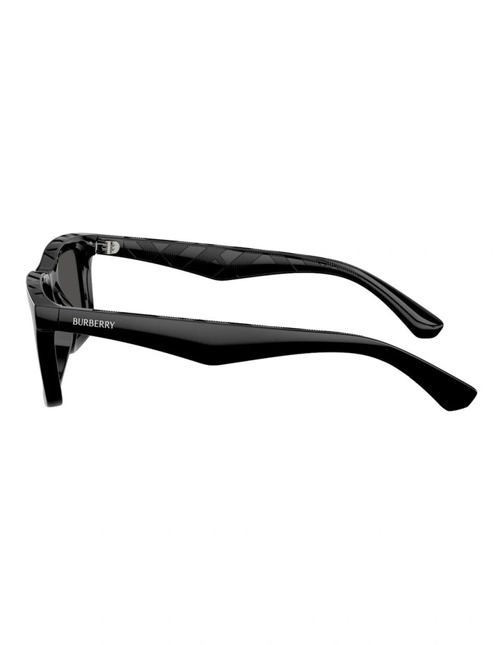 Injected Sunglasses in Black image 3