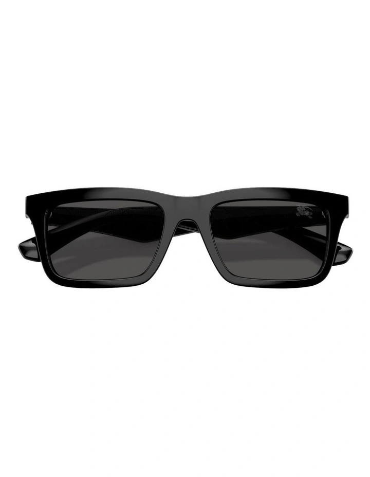Injected Sunglasses in Black image 4