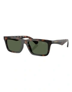 Injected Polarised Sunglasses in Brown
