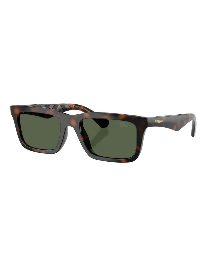 Injected Polarised Sunglasses in Brown image 1