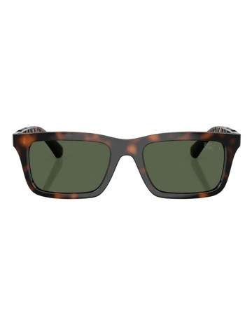 Injected Polarised Sunglasses in Brown