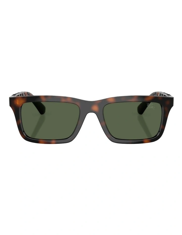 Injected Polarised Sunglasses in Brown image 2