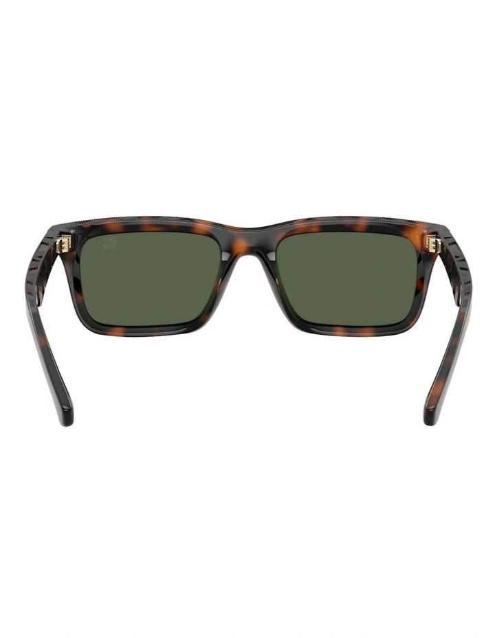 Injected Polarised Sunglasses in Brown image 4