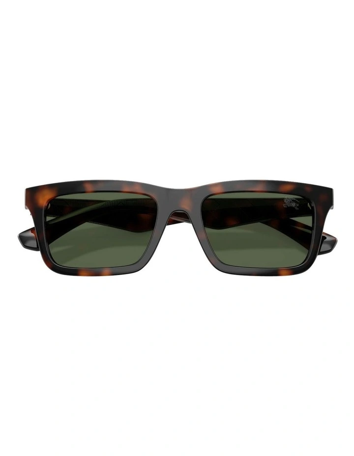 Injected Polarised Sunglasses in Brown image 5
