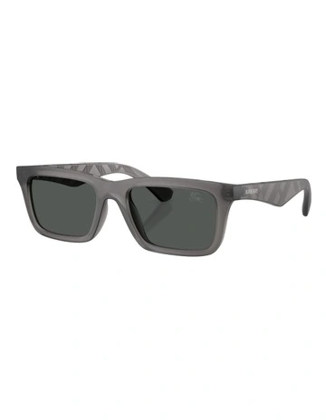 Injected Sunglasses in Grey
