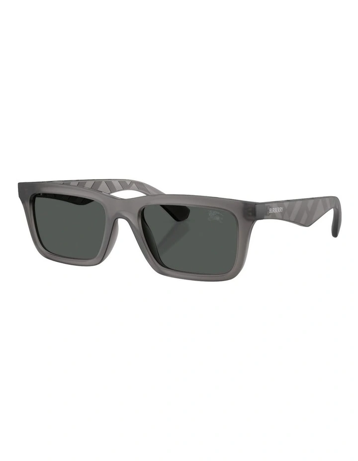 Injected Sunglasses in Grey image 1