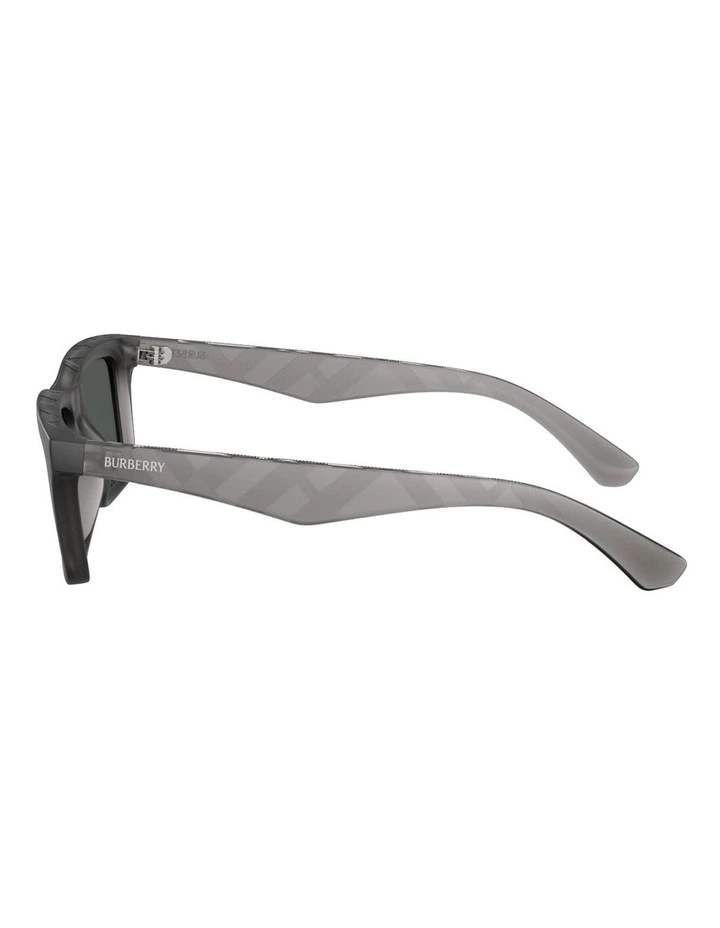 Injected Sunglasses in Grey image 3