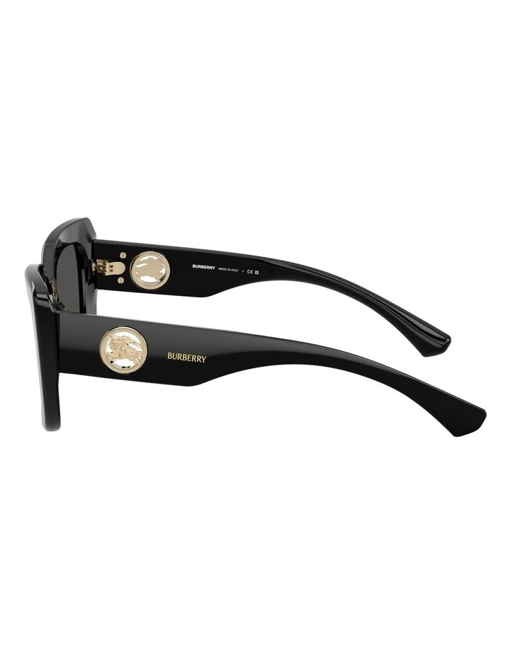 Acetate Sunglasses in Black image 3