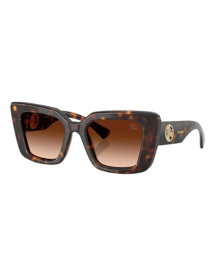 Acetate Sunglasses in Brown image 1