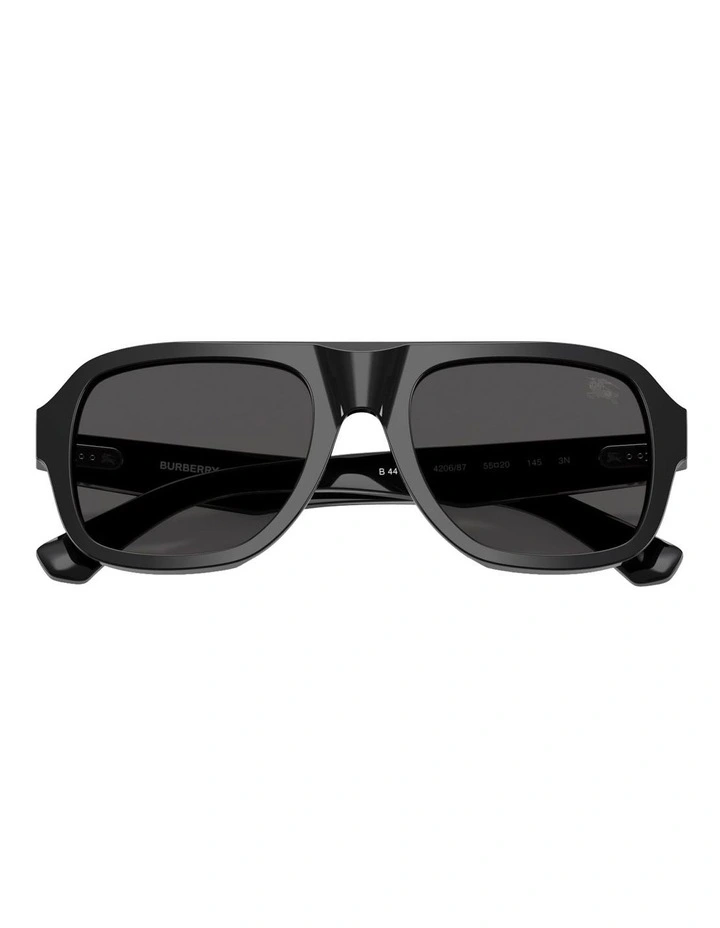 Acetate Sunglasses in Black image 5