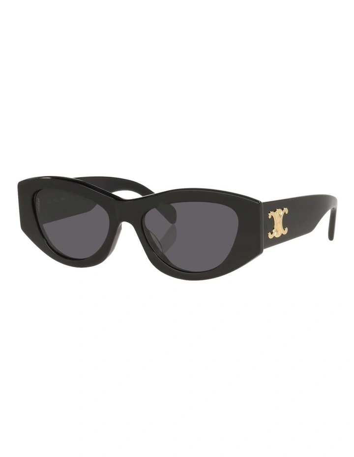 Triomphe Acetate Sunglasses CL40308U in Black image 1