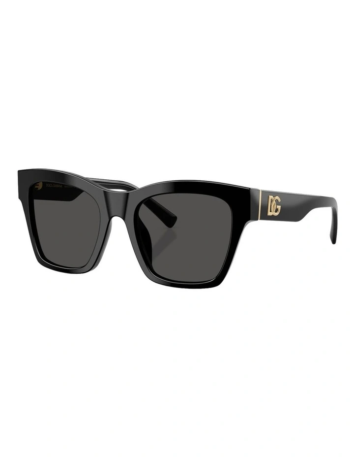 Acetate Sunglasses in Black image 1