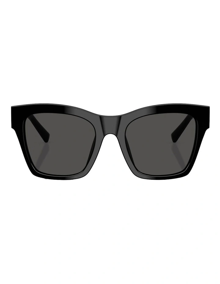 Acetate Sunglasses in Black image 2