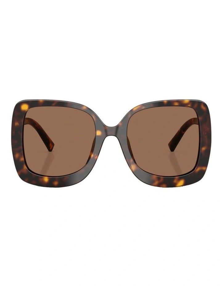 Acetate Sunglasses in Tortoise image 2
