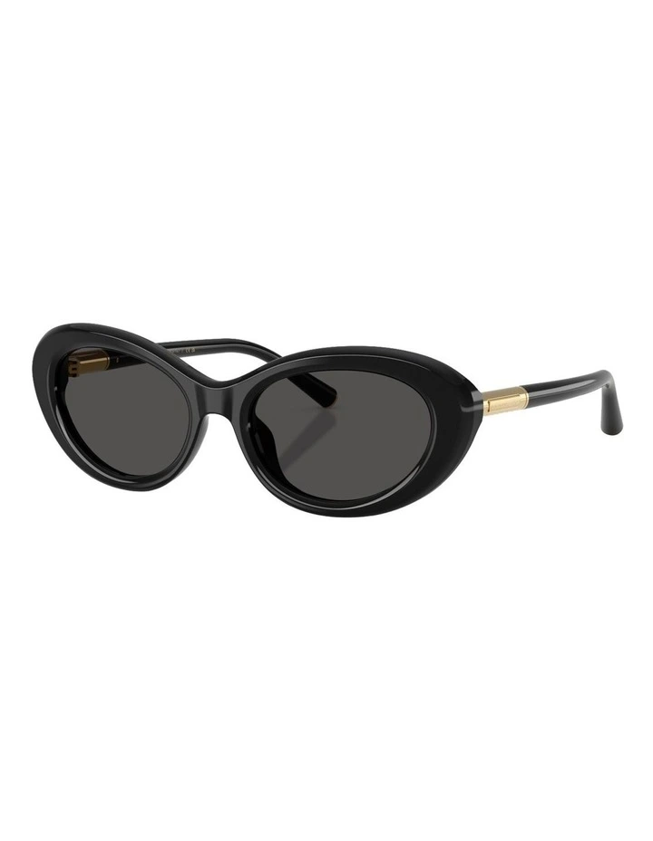 Acetate Sunglasses in Black image 1