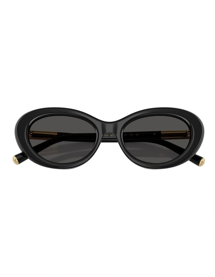 Acetate Sunglasses in Black image 4