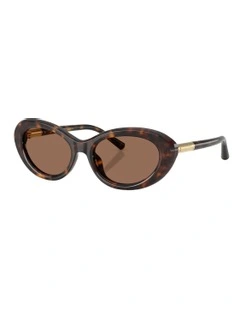 Acetate Sunglasses in Tortoise