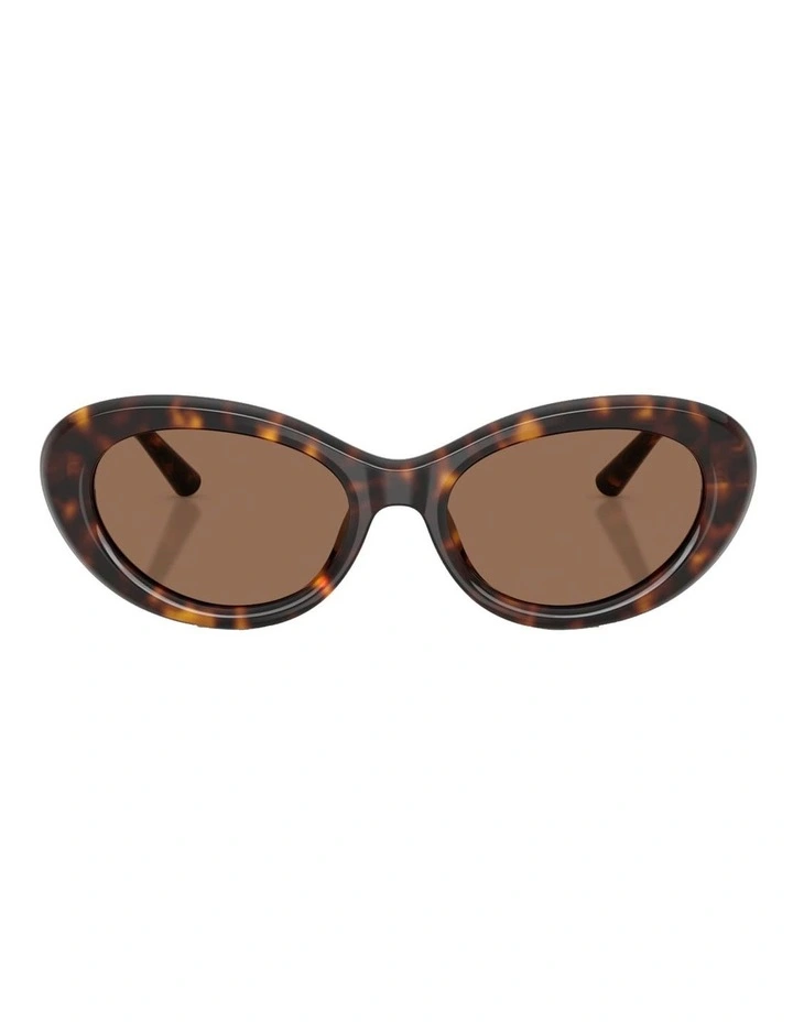 Acetate Sunglasses in Tortoise image 2