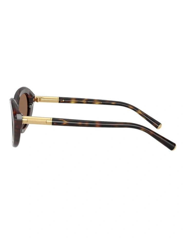 Acetate Sunglasses in Tortoise image 3