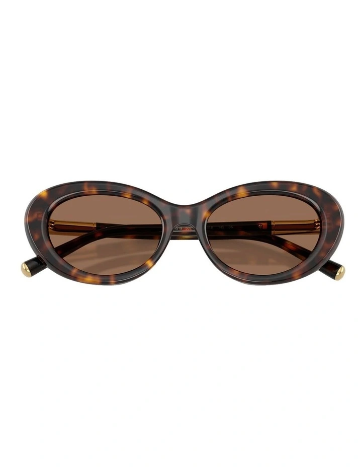 Acetate Sunglasses in Tortoise image 4