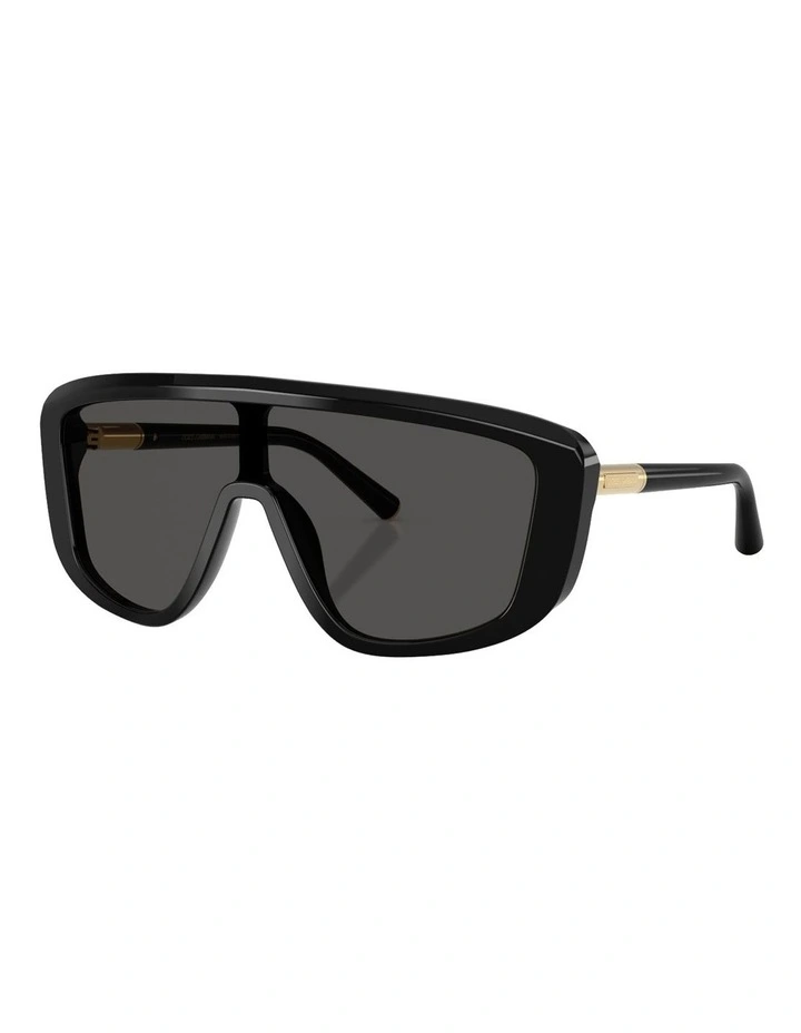 Acetate Sunglasses in Black image 1