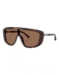Acetate Sunglasses in Tortoise