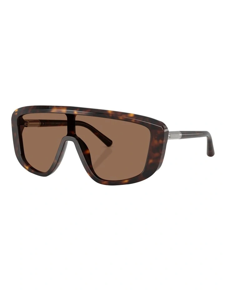 Acetate Sunglasses in Tortoise image 1