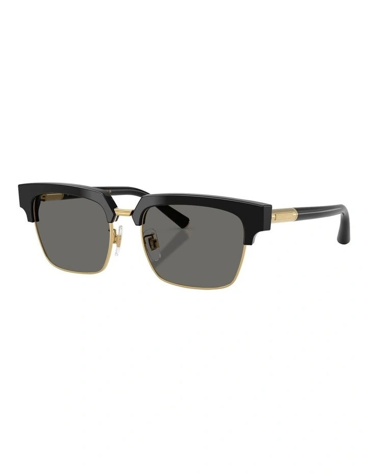 Acetate Sunglasses in Black image 1